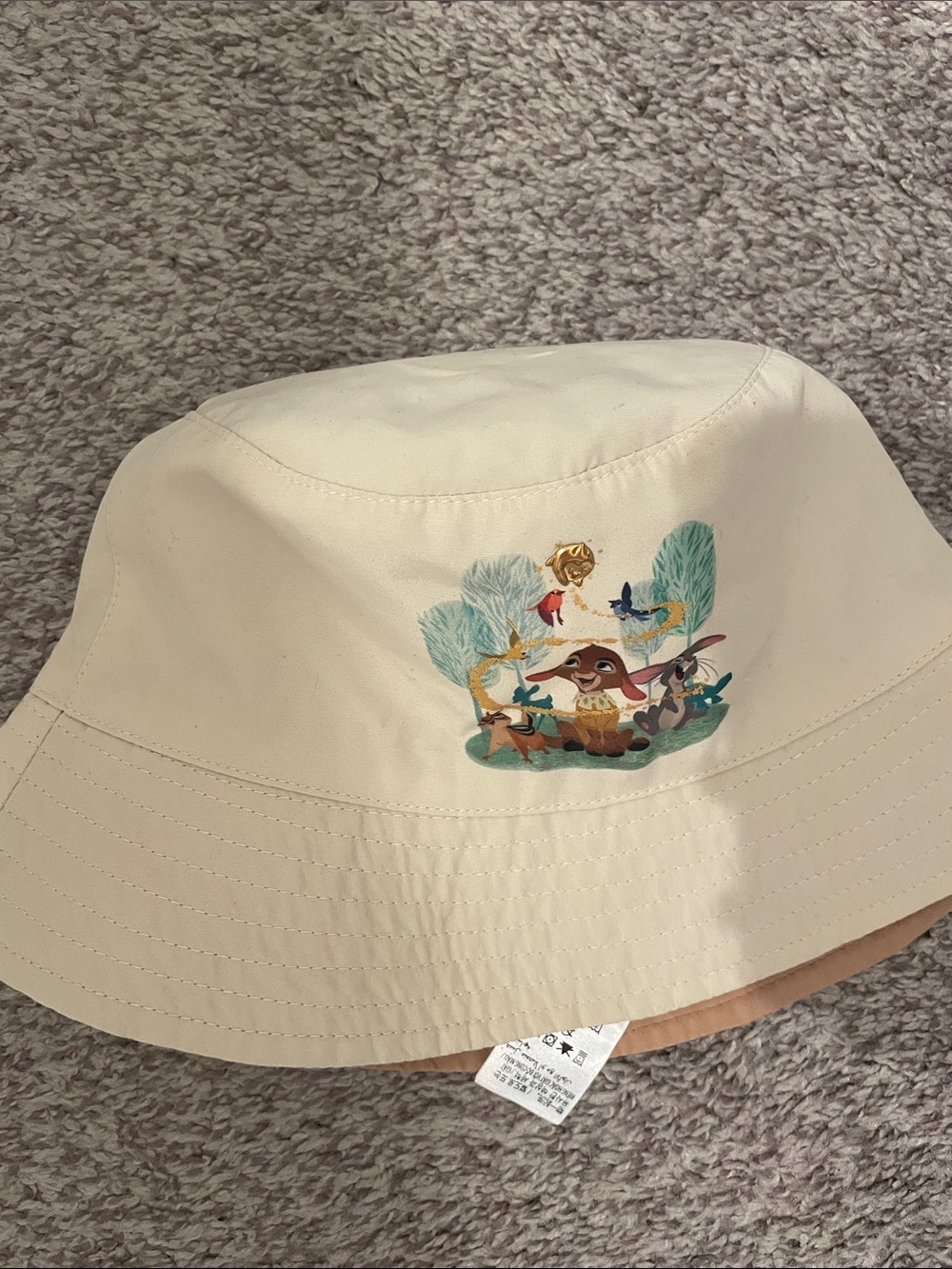 Disney parks wish bucket hat